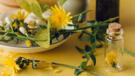 fleurs jaunes naturelles gélules flacon